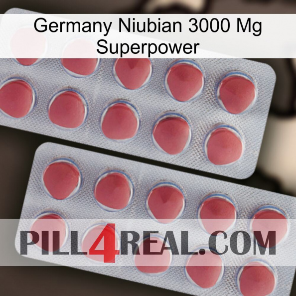 Germany Niubian 3000 Mg Superpower 19.jpg